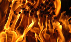 Elemental