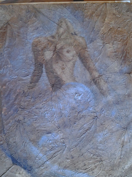 Sirena de mar