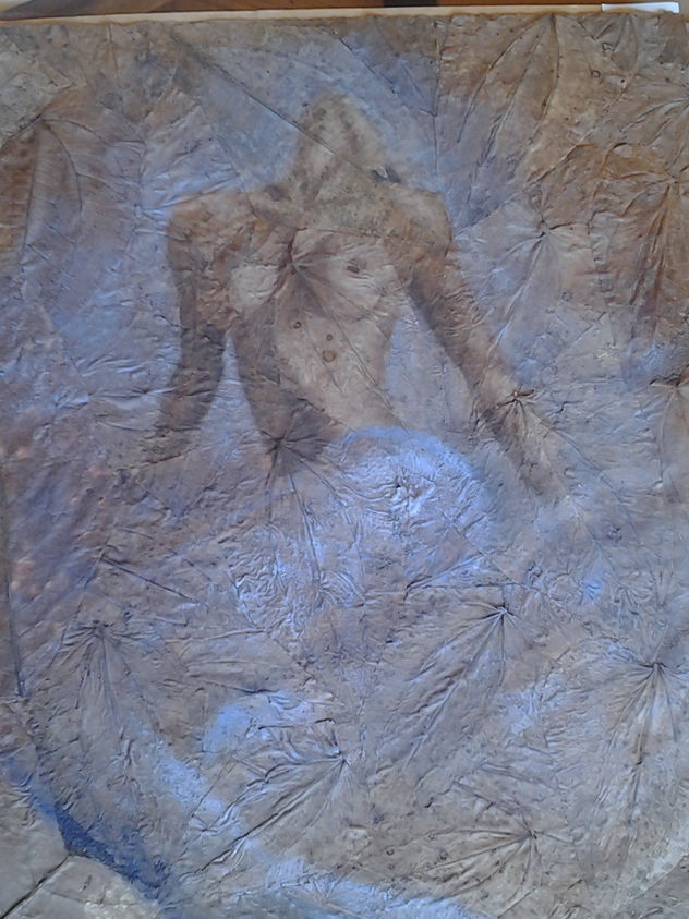 sirena de mar