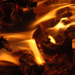 Elemental thumbnail 2