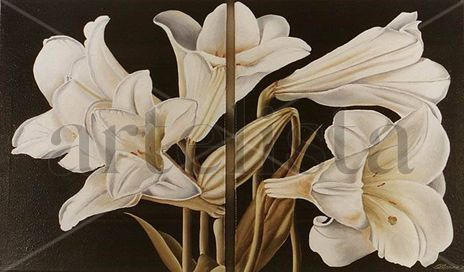 Azucenas blancas