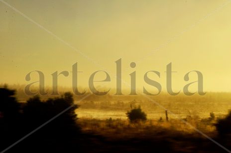 Desde la ruta