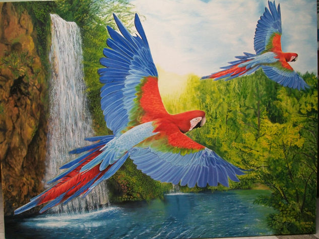 amazonas un santuario en sos Oil Canvas Landscaping