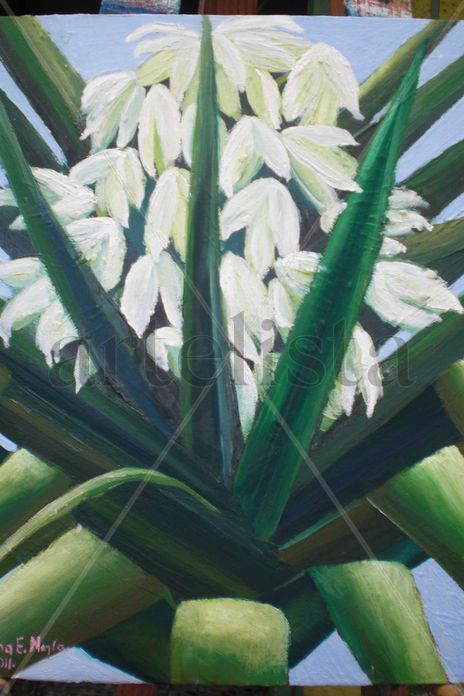 Flor de Izote