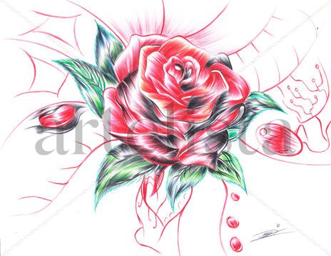Rosa