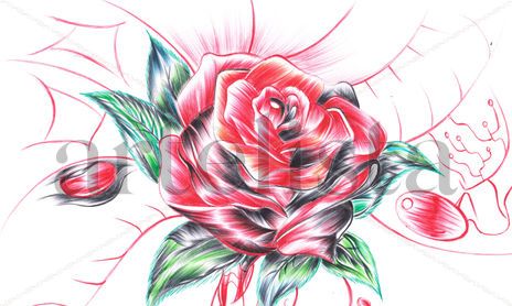 Naturaleza floral