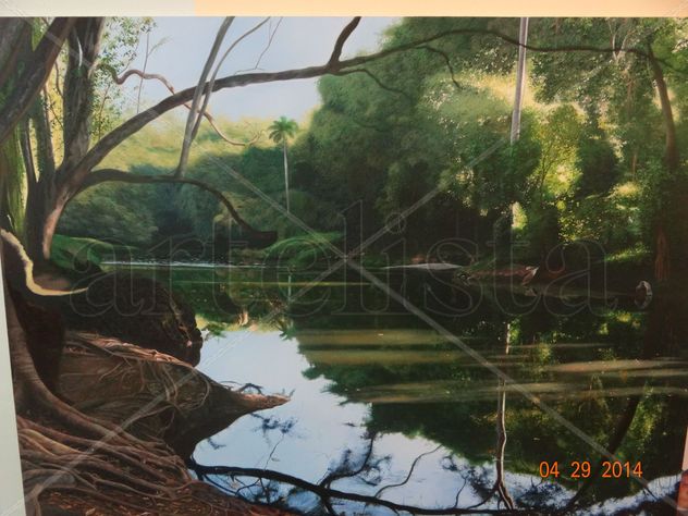 Bosque de la Habana al amanecer