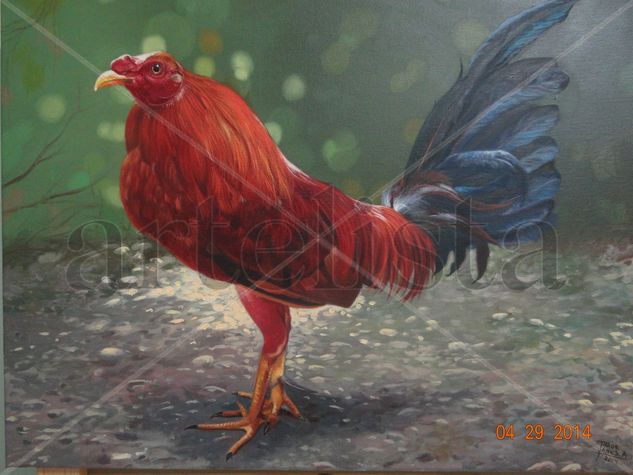 Gallo Indio Óleo Lienzo Animales