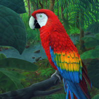 obra