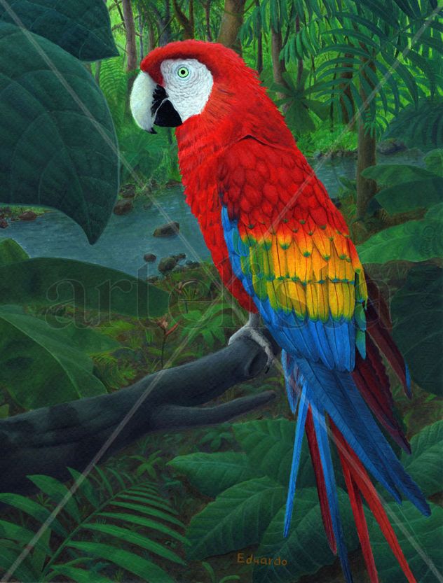 Guacamaya sobre la selva