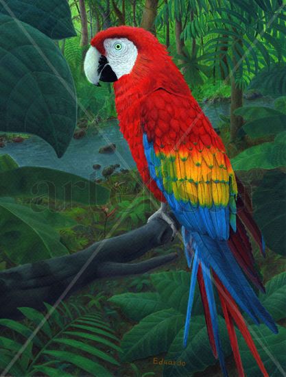 Guacamaya sobre la selva Acrylic Card Animals