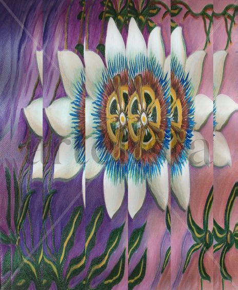 Flor de la pasión