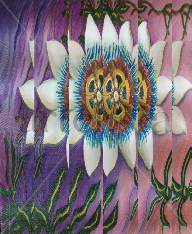 FLOR DE LA PASIÓN