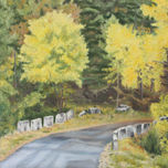 Pirineos thumbnail 1