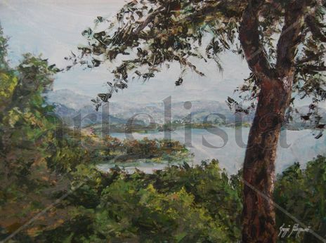 Pantano del chorro