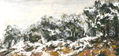 SIERRA NEVADA