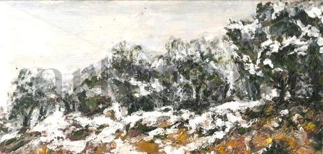 Sierra nevada