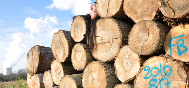 Mujer Arbol serie