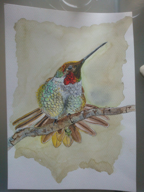 El colibrí