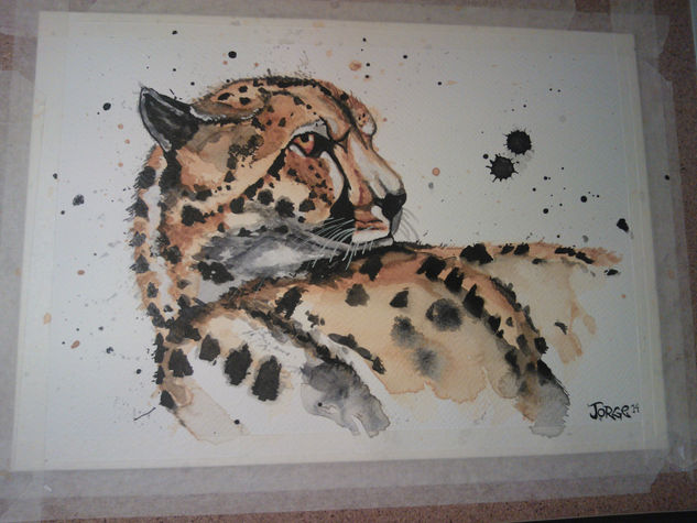 cheetah Acuarela Papel Animales