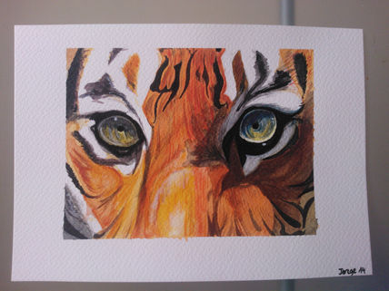 Mirada de tigre