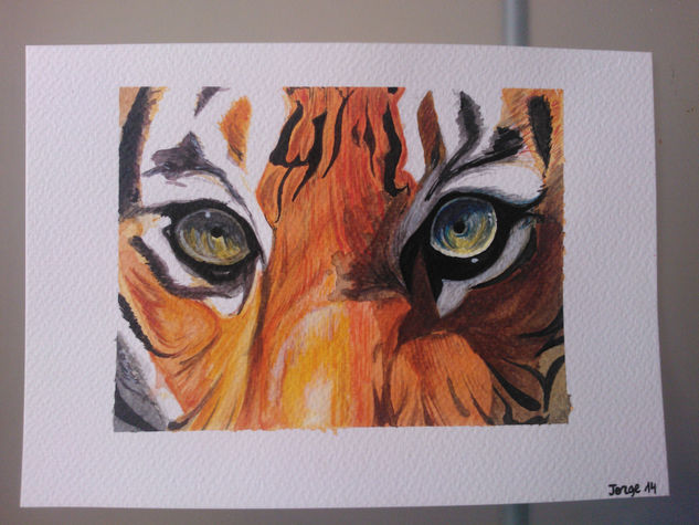 mirada de tigre Acuarela Papel Animales