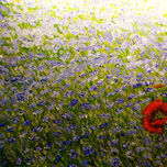 FLORES thumbnail 1
