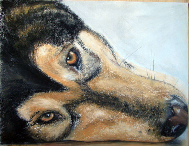 Mirada de Lobo Pastel Paper Animals