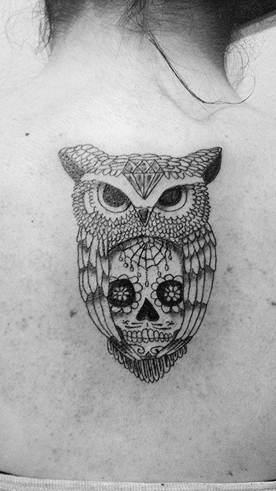 búho y calavera