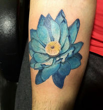 Flor de lotto azul