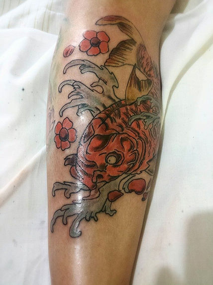 Carpa koi