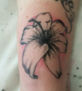 flor hawaiana
