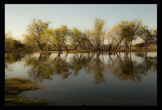 reflejos Naturaleza Color (Digital)