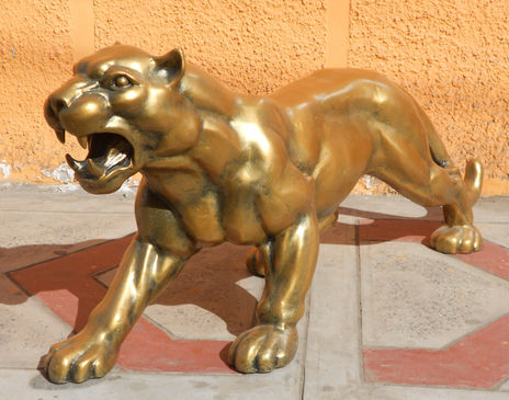 Puma