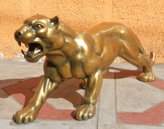 PUMA