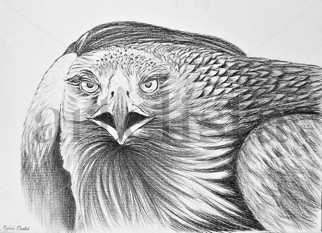 Aguila Pencil