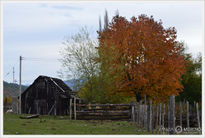 Colores de otoño