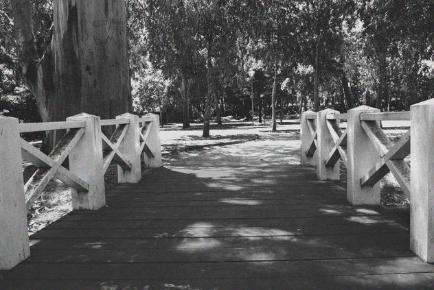 Un paseo en blanco y negro
