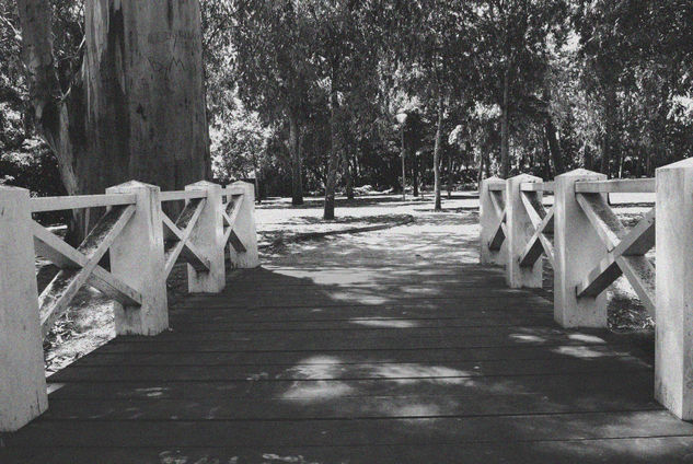 Un paseo en blanco y negro Conceptual/Abstracto Blanco y Negro (Digital)