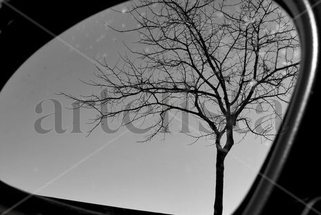Reflejos