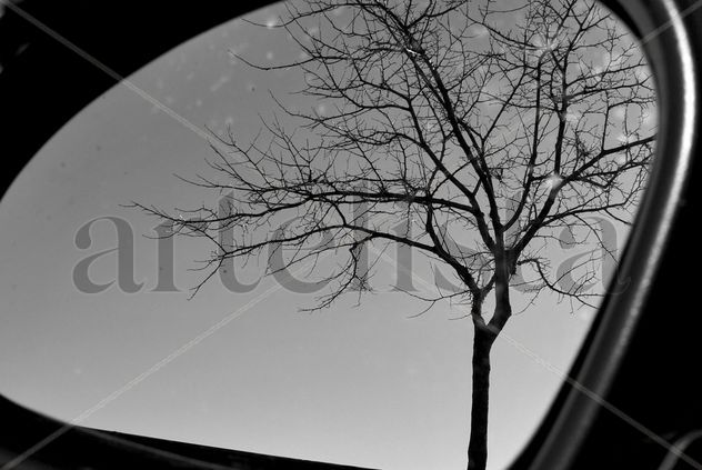 Reflejos