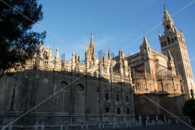 Catedral de Sevilla Arquitectura e interiorismo Color (Digital)