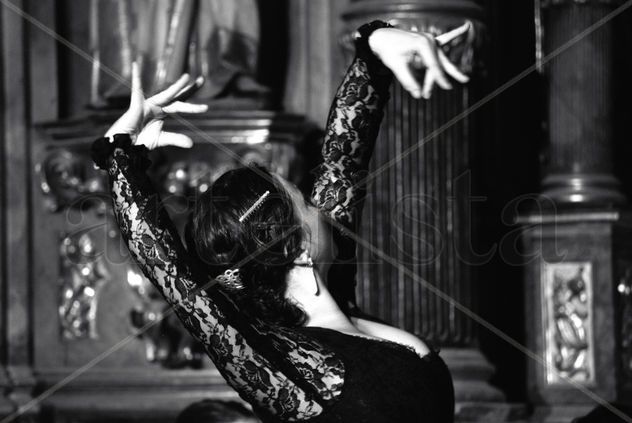 flamenco