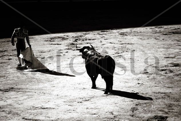 Toros Fotoperiodismo y documental Blanco y Negro (Digital)