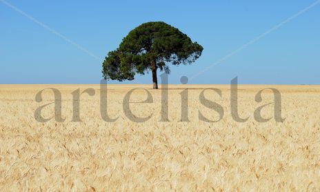 naturaleza