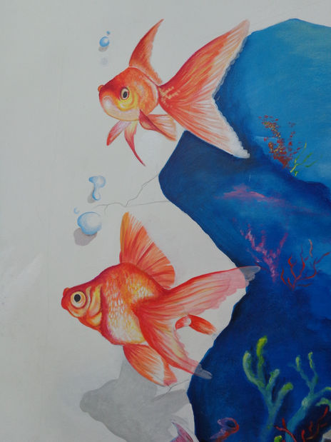 Peces