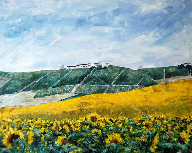 VIÑAS Y GIRASOLES