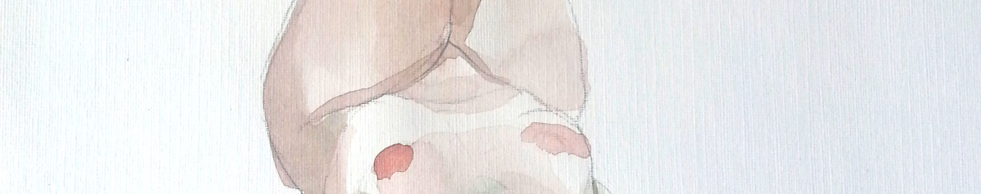 Imagen de portada