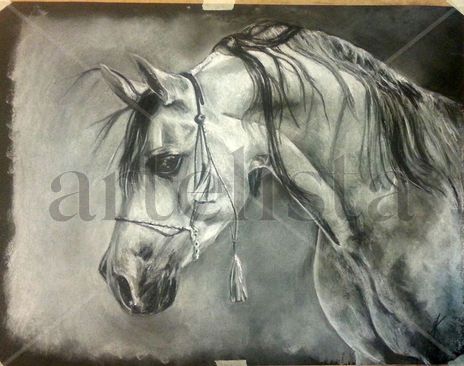 Cabeza de caballo