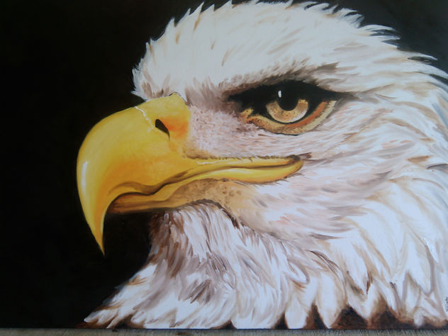 AGUILA AMÉRICANA
